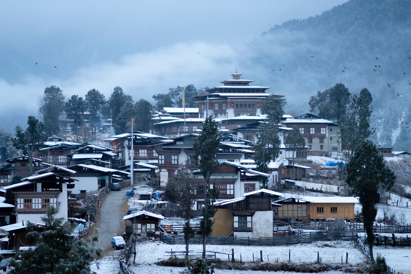 Phobjikha Valley